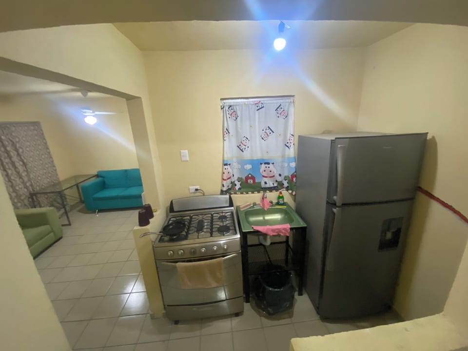 Family House, City View | Private kitchen