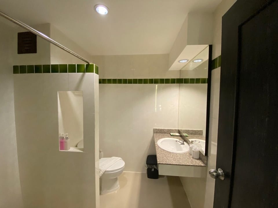 Deluxe Double Room Single Use | Bathroom | Shower, free toiletries, hair dryer, slippers