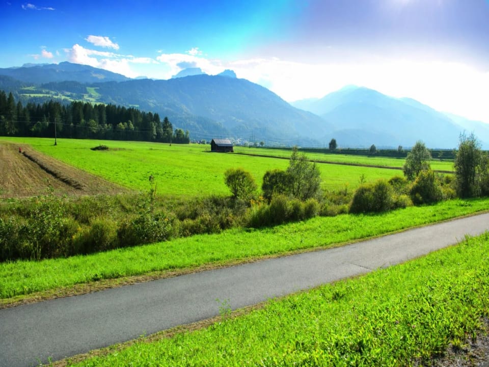 Region [summer] (>5 km)