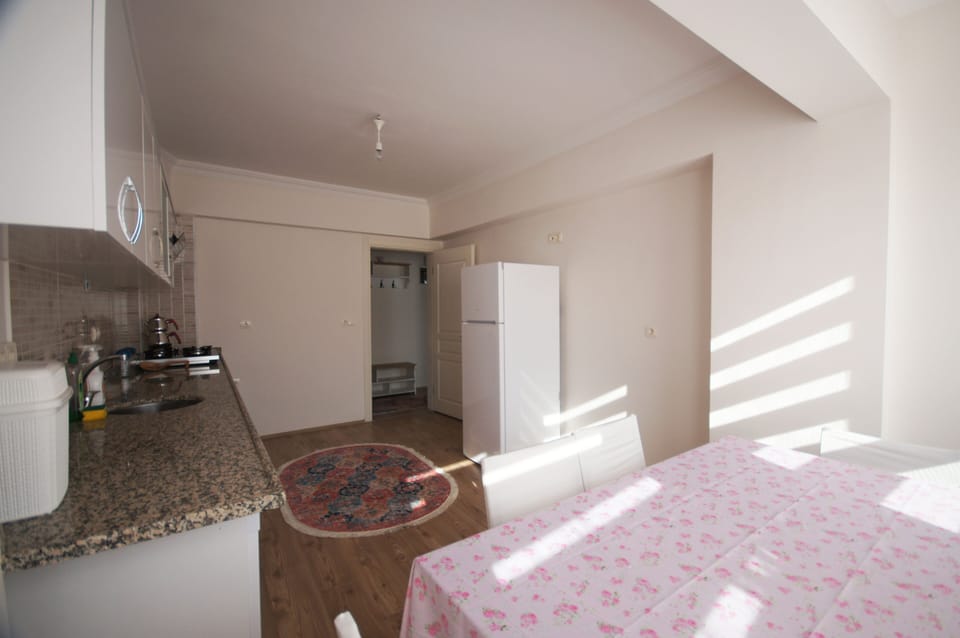 Kitchen and dining area
