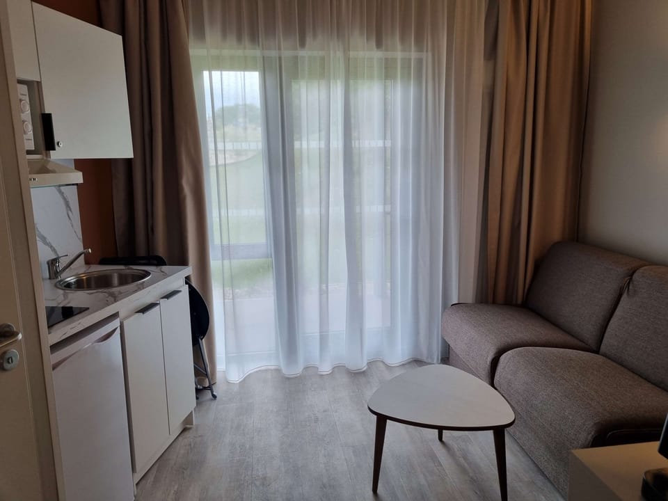 Superior Room, 1 Double Bed with Sofa bed | Private kitchenette | Coffee/tea maker, electric kettle, eco-friendly cleaning products