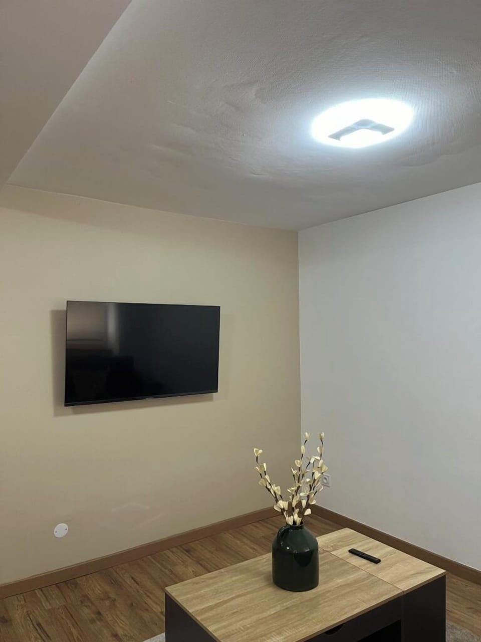 Junior Apartment | Living area | TV