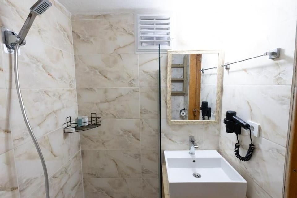 Economy Room, Park View | Bathroom | Hair dryer, towels, soap, shampoo