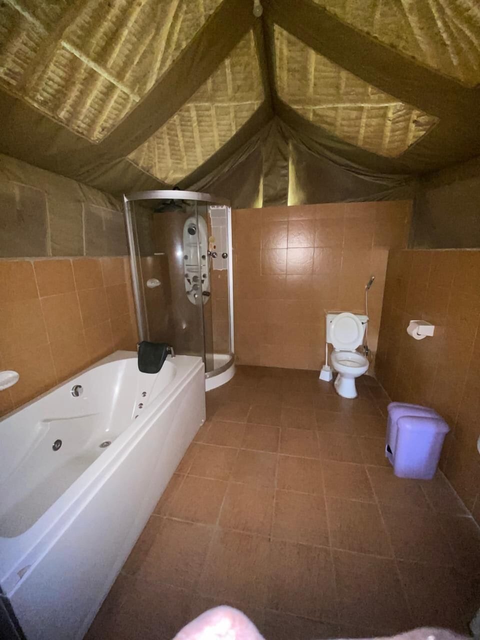 Free toiletries, slippers, bidet, towels
