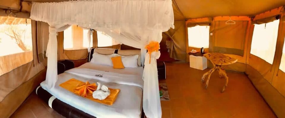 Single Room, Patio, Park View | Premium bedding, Select Comfort beds, individually decorated