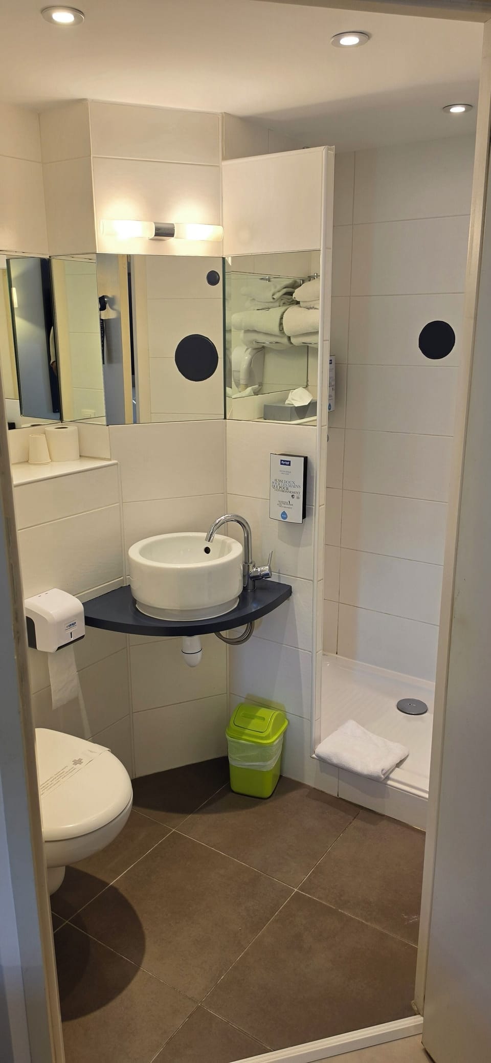 Eco-friendly toiletries, hair dryer, towels