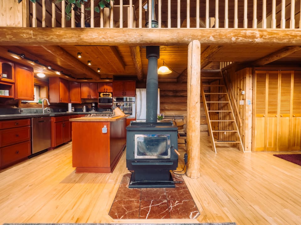 Wood stove for heating and additional coziness