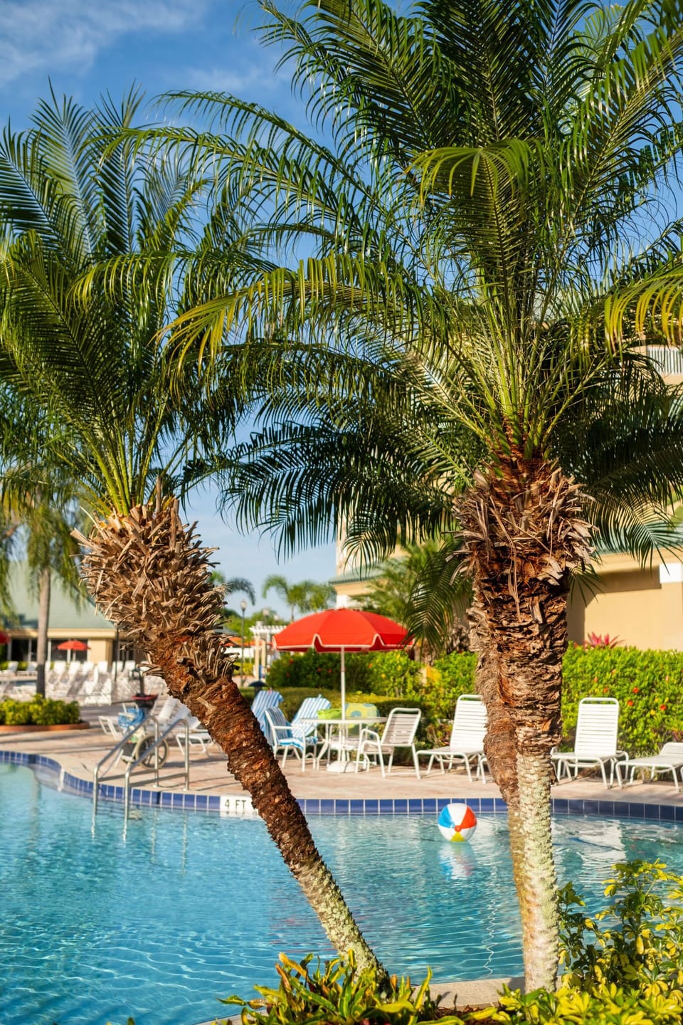 Palm trees and vibrant poolside umbrellas set the scene for a perfect day of relaxation in the refreshing pool area.