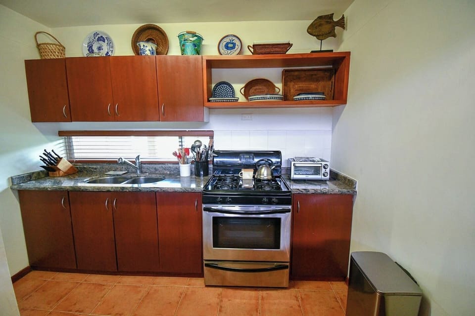 Half of the main kitchen area with a window to the front yard.  On the right near the trash can we have recently added a doorway that lets you come right into the kitchen from the entry foyer.  the kitchen is fully stocked.