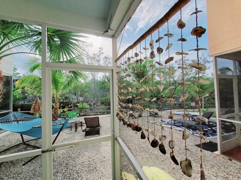 Backyard with salt lagoon view, sun loungers, hammocks