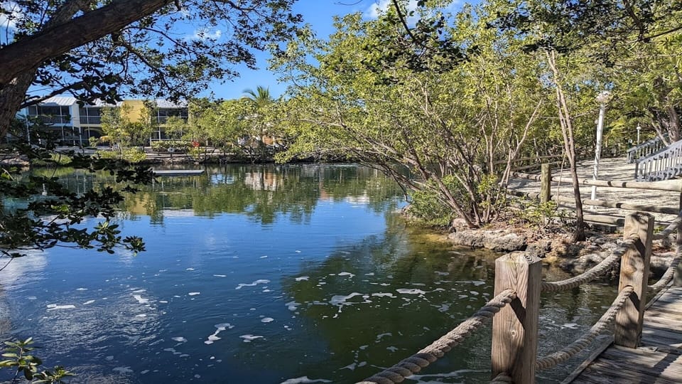 Salt water lagoon where you can kayak, swim , snorkle or relax