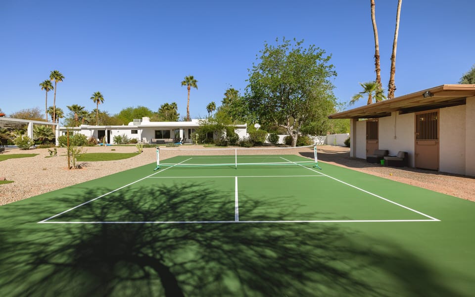 Pickleball court in the back yard.