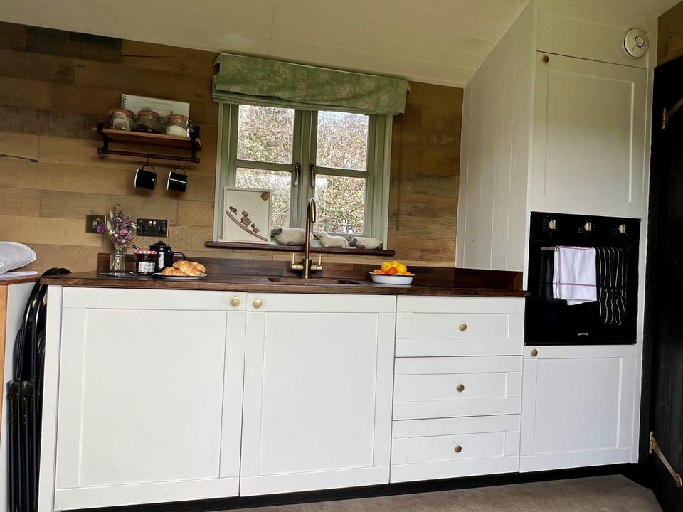 The Shepherds Snug, Powerstock: The kitchen with its fridge, oven and hob