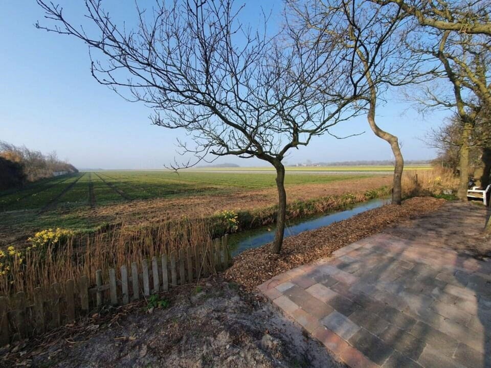 House | View from property