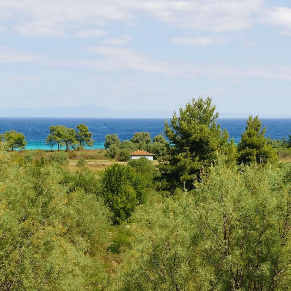 Seaview from the room