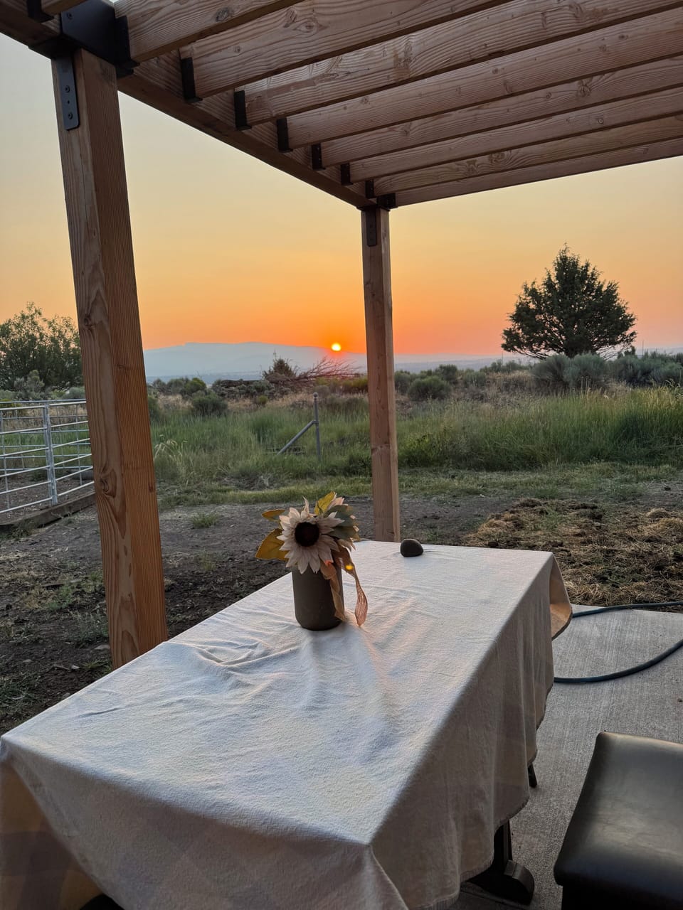 Outdoor dining