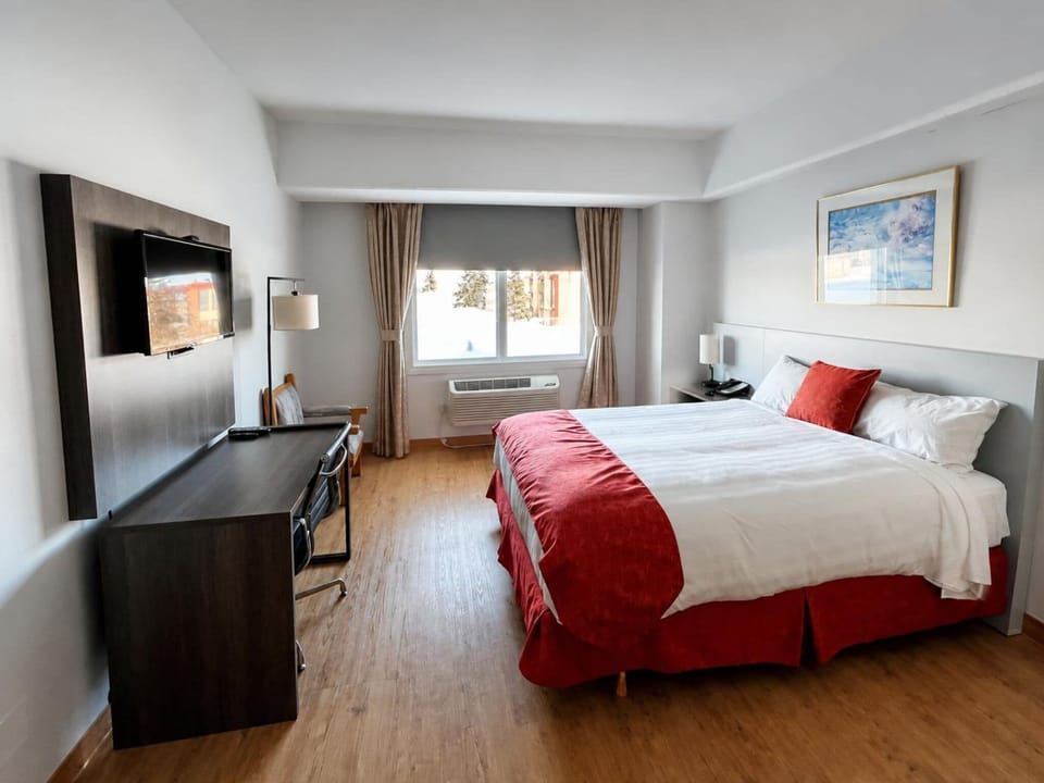 Executive Room, 1 Queen Bed, Non Smoking, City View | Desk, laptop workspace, iron/ironing board, WiFi (free)