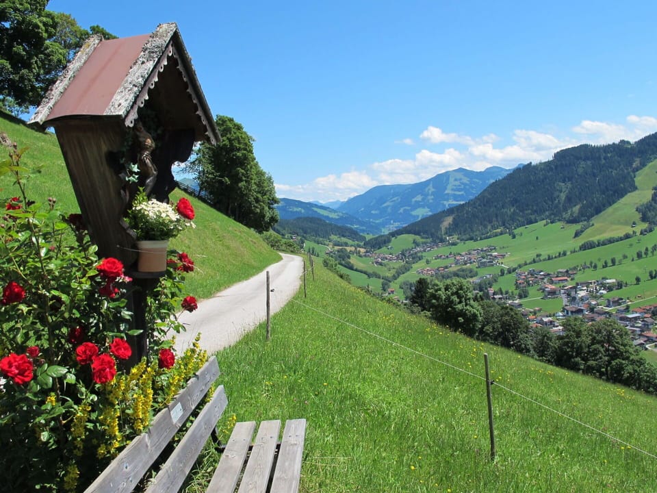 Plant, Sky, Flower, Green, Mountain, Nature, Natural Landscape, Slope, Cloud, Vegetation