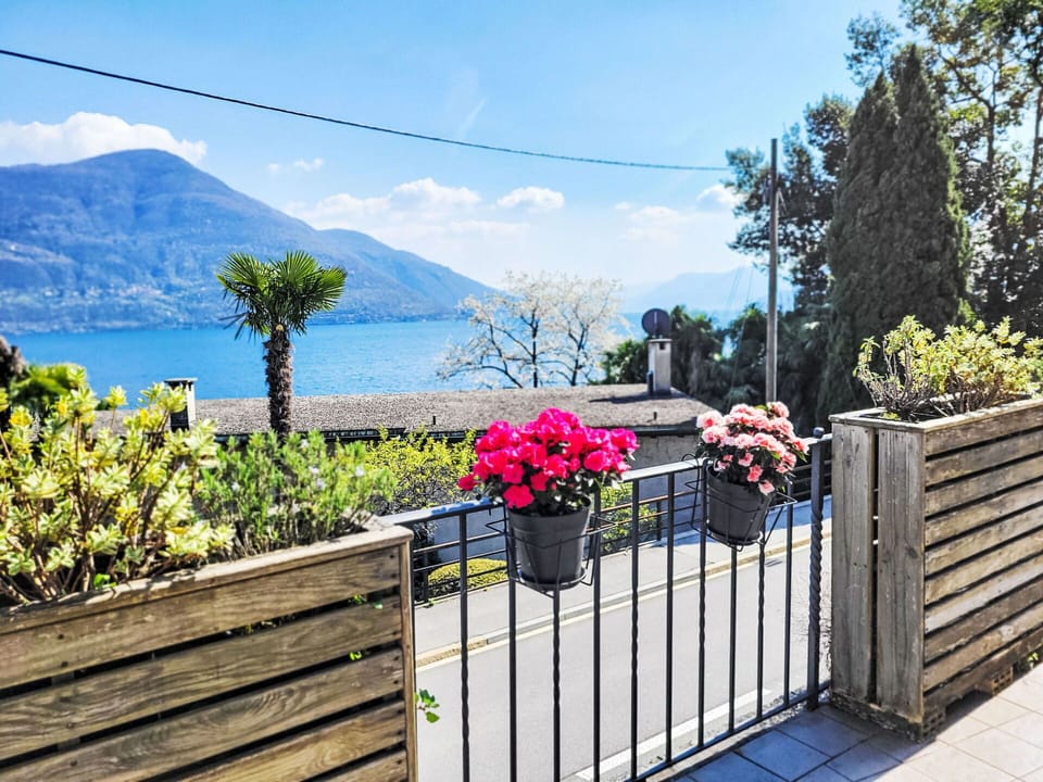 Flowerpot, Fence, Balcony, Houseplant, Shade, Home Fencing, Porch, Floristry, Eco Hotel
