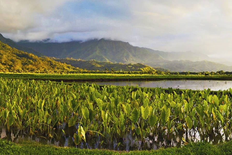 Hanalei Bay