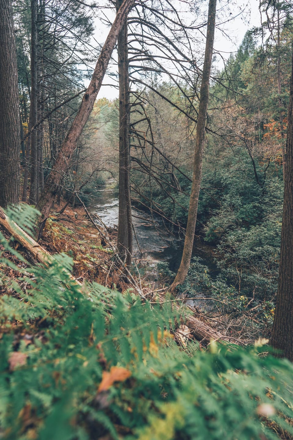Nature.