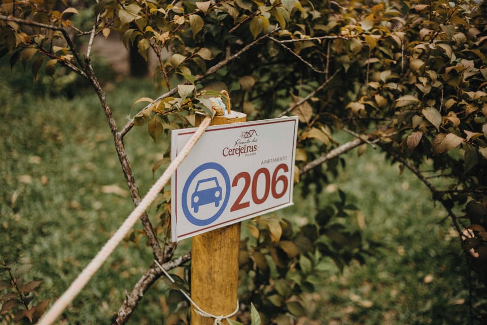 Free self parking