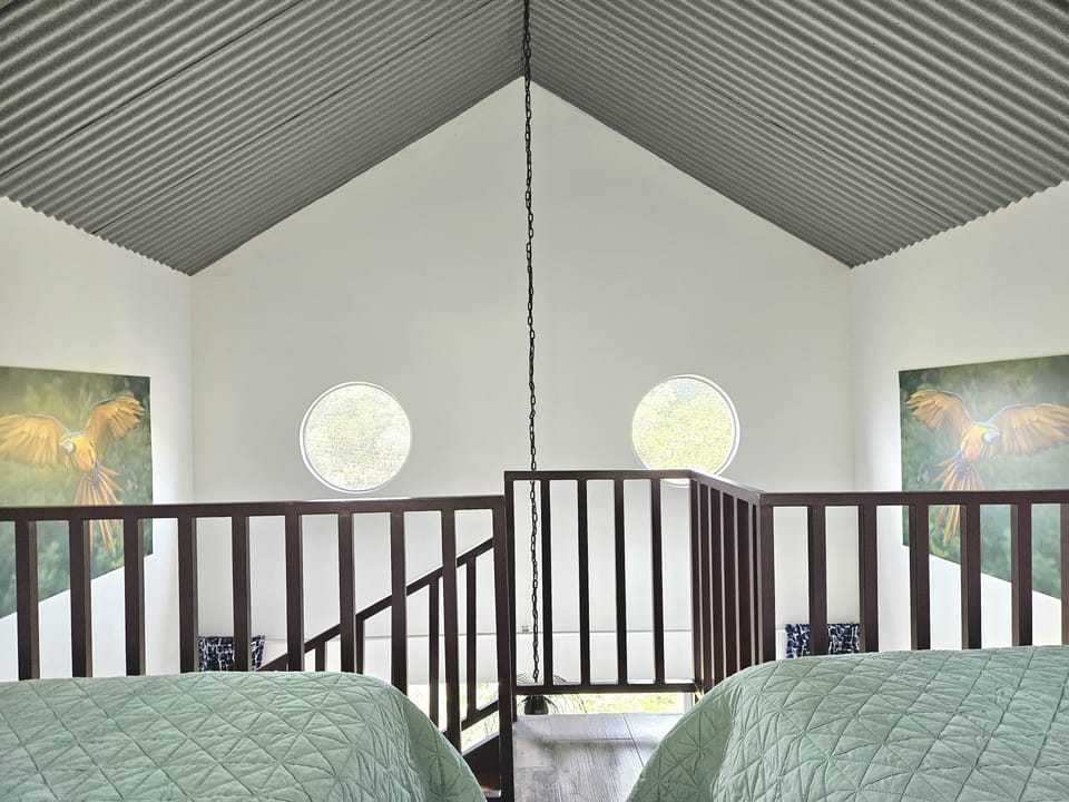 view from the beds