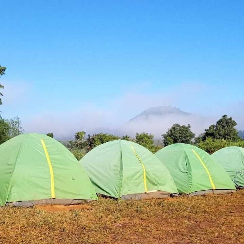 Basic Tent, Patio | WiFi (free)