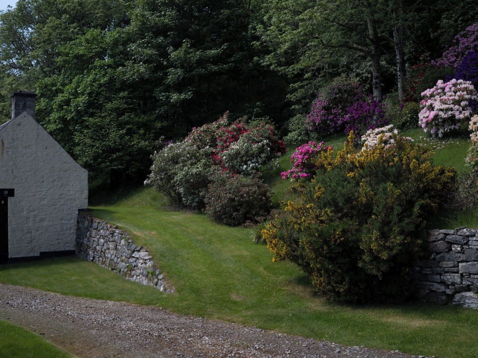 Grass, Leaf, Shrub, Landscape, Garden, Plant Community, Cottage, Groundcover, Stone Wall