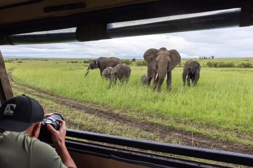 Safari
