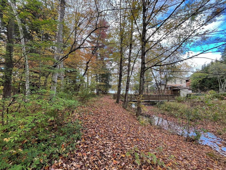 2 min walk to the lake!