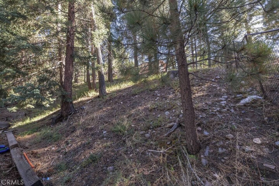 Backyard (2)