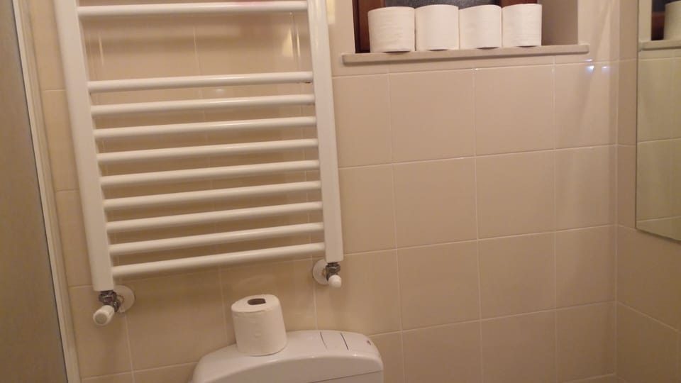 Classic Double Room, Park View | Bathroom | Shower, hair dryer, towels, soap