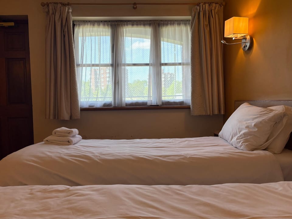 Deluxe Twin Room | Iron/ironing board, free WiFi, bed sheets