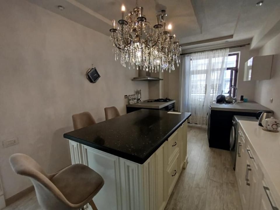 Deluxe Apartment, Balcony, Lake View | Private kitchen | Electric kettle, griddle, spices, dining tables