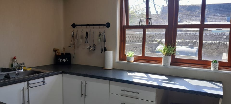 Full-size fridge, microwave, oven, stovetop
