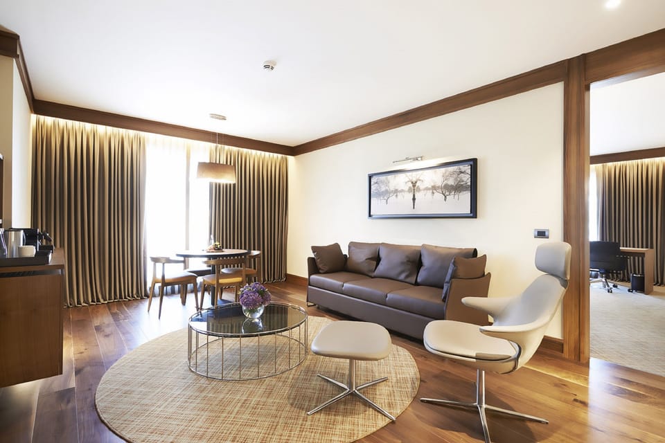 Business Suite | Living room | Flat-screen TV, fireplace