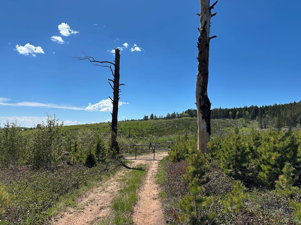 Driveway leaving the wagon site.