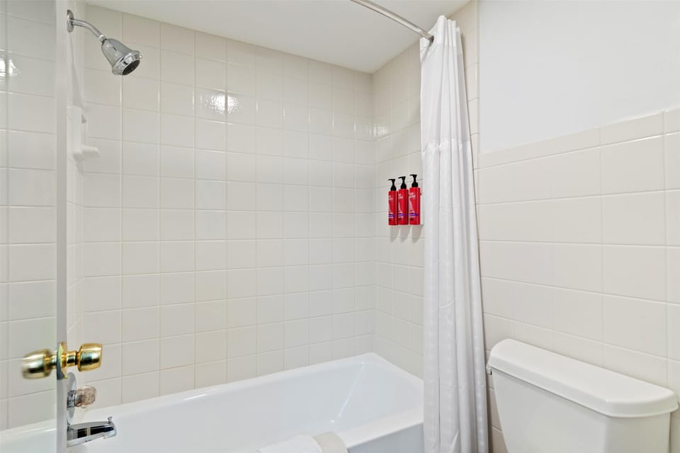 Hair dryer, towels, soap, shampoo