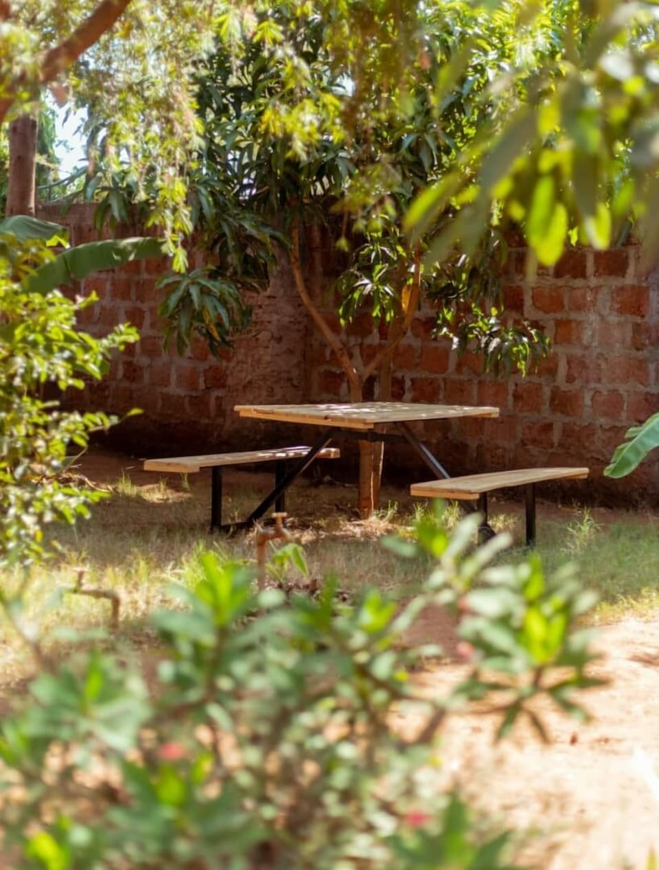 Kilimanjaro sons Homestay Bed and Breakfast in Tanzania