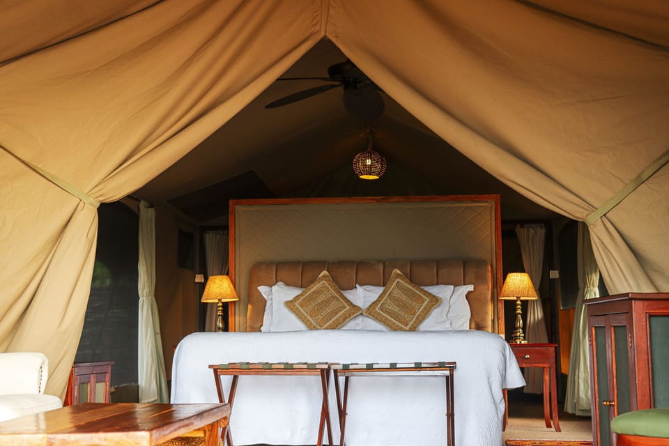 Deluxe Double Tent | In-room safe, desk, iron/ironing board, free cribs/infant beds