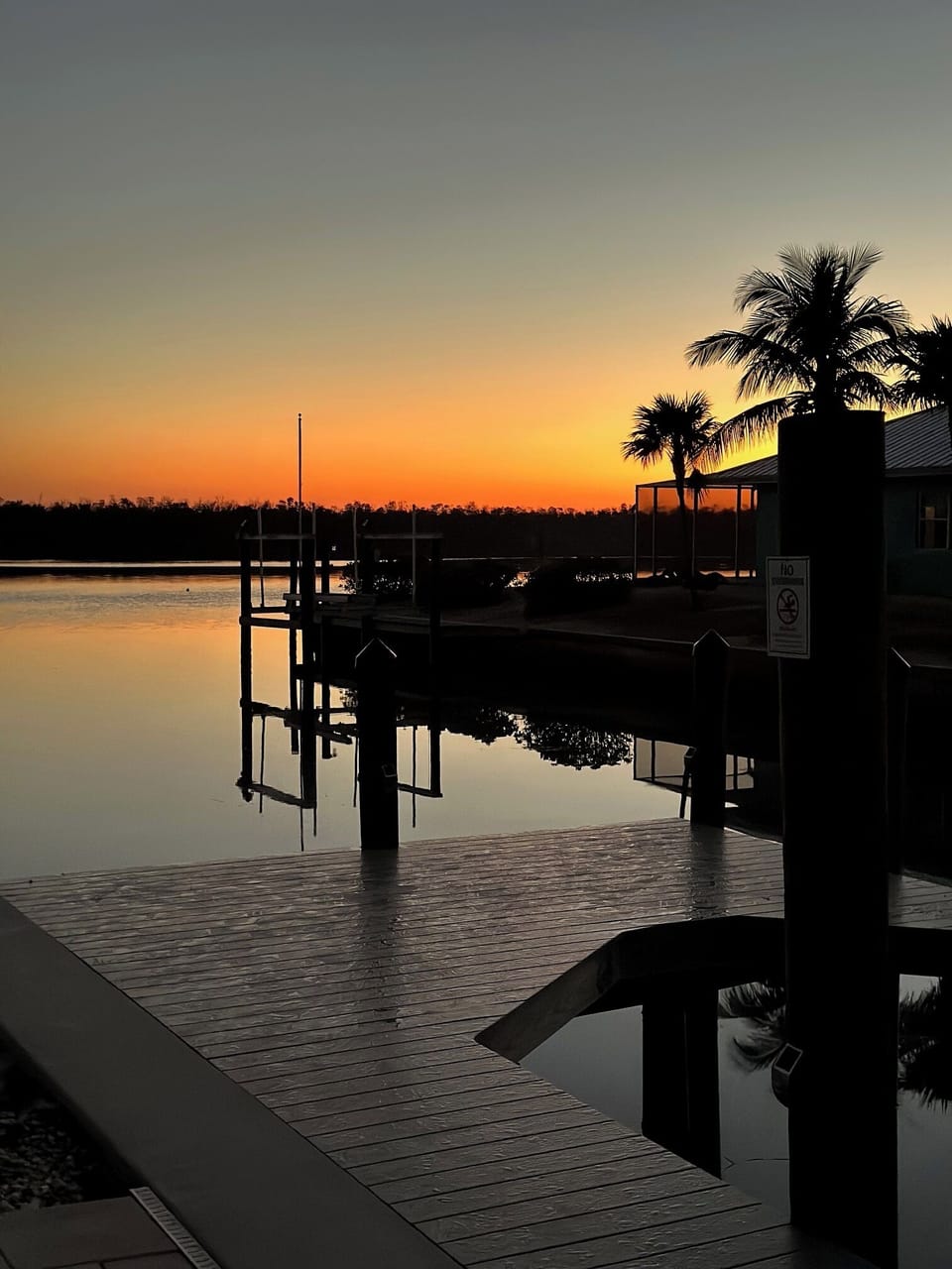 watch the sunset in the backyard