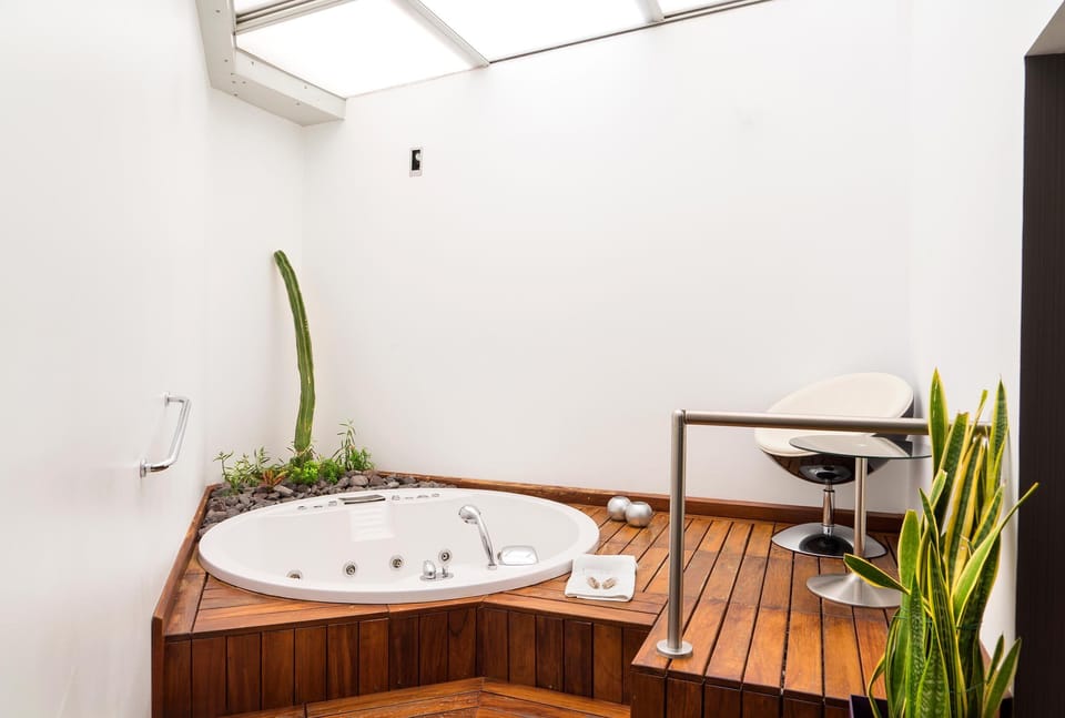 Superior Double Room (Deluxe) | Private spa tub