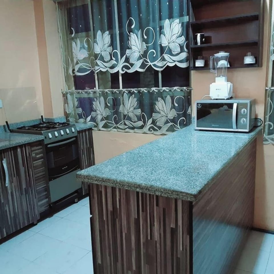 Economy Apartment, Balcony, City View | Private kitchen | Mini-fridge, oven, stovetop, dishwasher