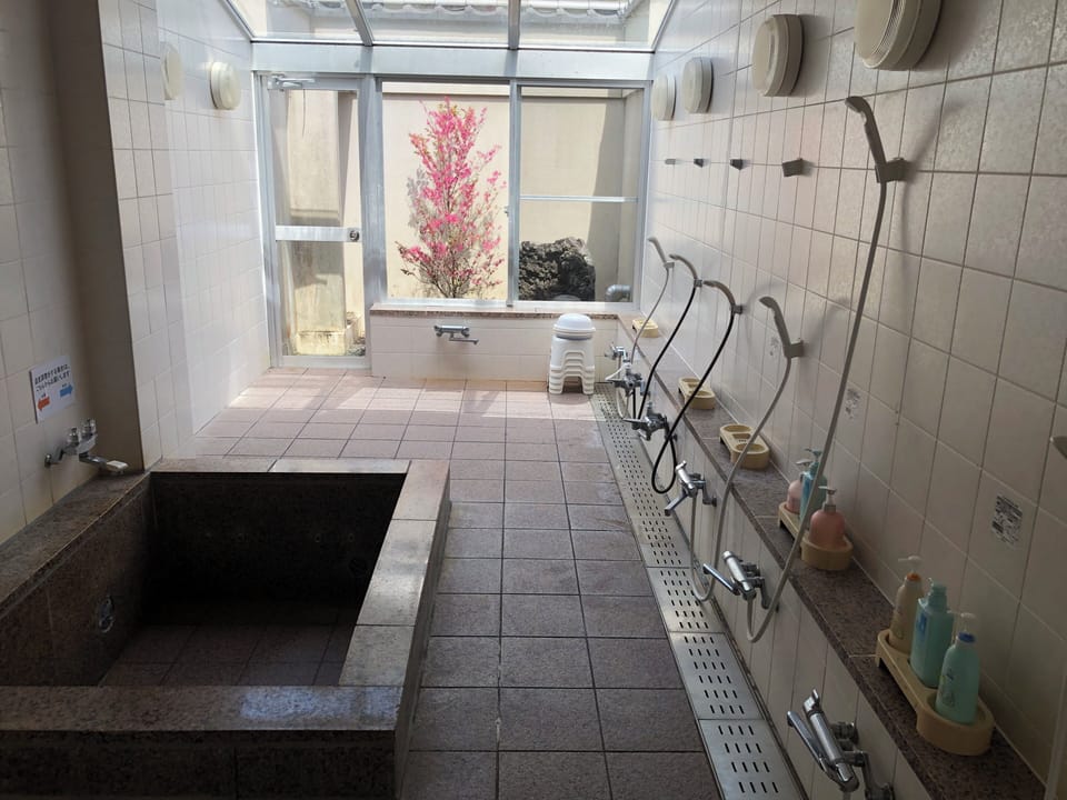 Separate tub and shower