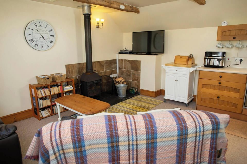 Living area with TV and wood burner