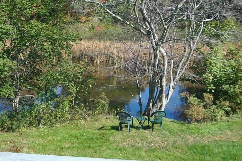 Hove To - back yard pond