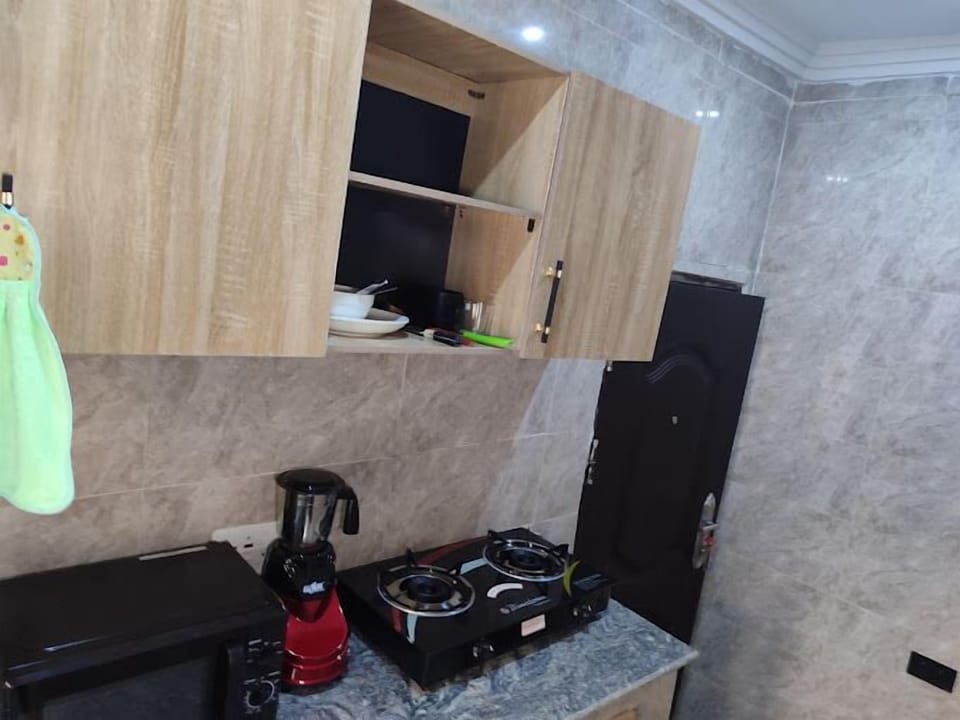 Deluxe Apartment, Balcony, City View | Private kitchen | Fridge, microwave, oven, stovetop