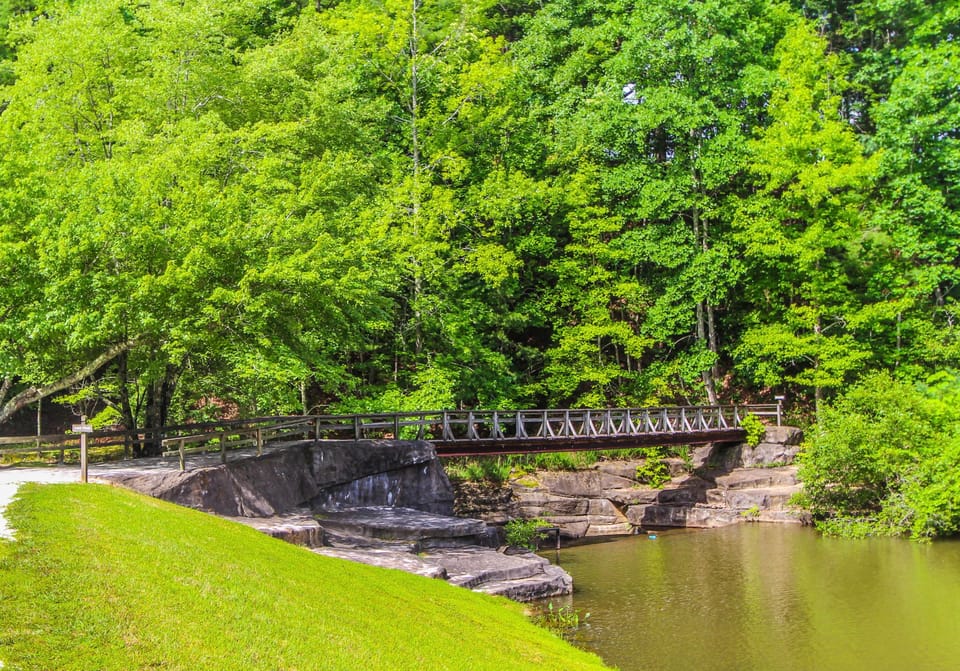 Nestled by a serene pond with lush greenery, this resort offers a tranquil setting perfect for family gatherings.