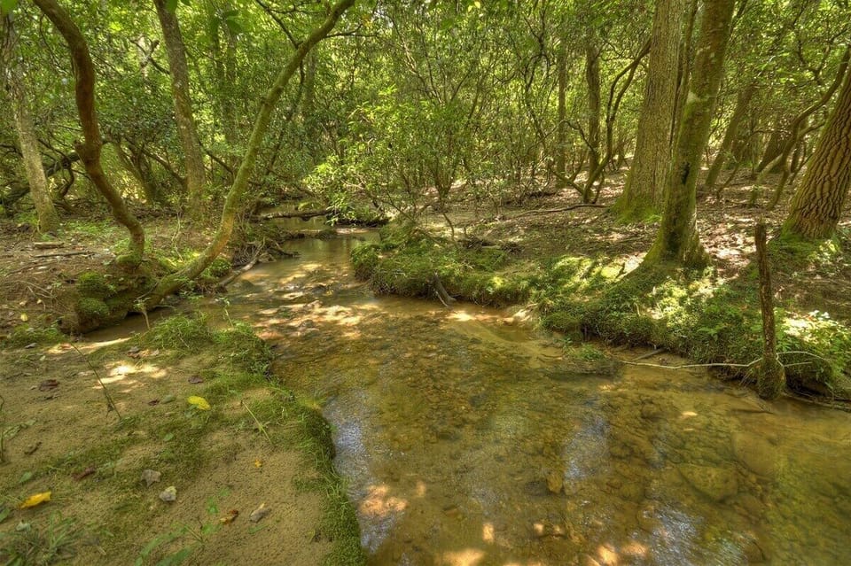 Creek on the property